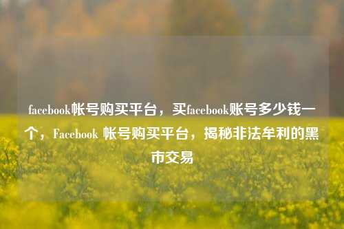 facebook帐号购买平台，买facebook账号多少钱一个，Facebook 帐号购买平台，揭秘非法牟利的黑市交易