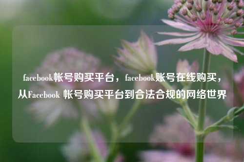 facebook帐号购买平台，facebook账号在线购买，从Facebook 帐号购买平台到合法合规的网络世界