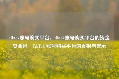 tiktok账号购买平台，tiktok账号购买平台的资金安全吗，TikTok 账号购买平台的真相与警示