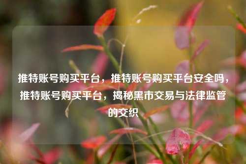 推特账号购买平台，推特账号购买平台安全吗，推特账号购买平台，揭秘黑市交易与法律监管的交织