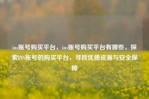 ins账号购买平台，ins账号购买平台有哪些，探索INS账号的购买平台，寻找优质资源与安全保障