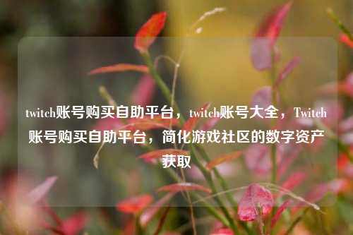 twitch账号购买自助平台，twitch账号大全，Twitch账号购买自助平台，简化游戏社区的数字资产获取