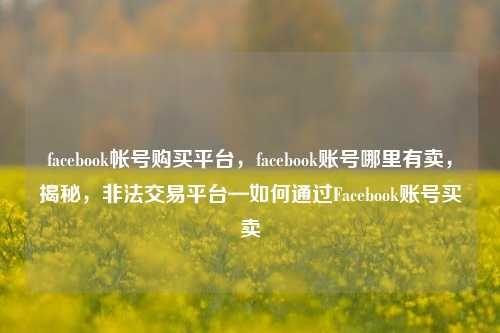 facebook帐号购买平台，facebook账号哪里有卖，揭秘，非法交易平台—如何通过Facebook账号买卖
