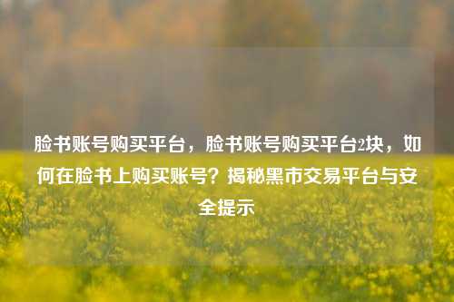 脸书账号购买平台	，脸书账号购买平台2块，如何在脸书上购买账号？揭秘黑市交易平台与安全提示  第1张