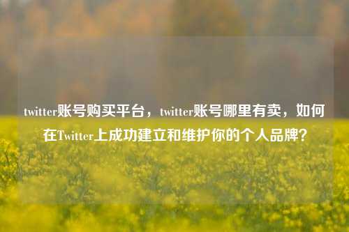 twitter账号购买平台，twitter账号哪里有卖，如何在Twitter上成功建立和维护你的个人品牌？