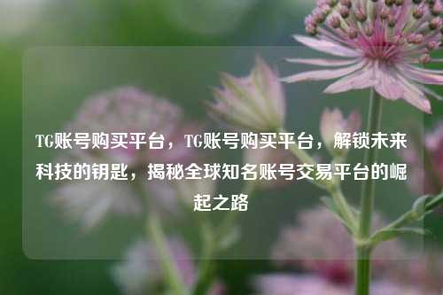 TG账号购买平台，TG账号购买平台，解锁未来科技的钥匙，揭秘全球知名账号交易平台的崛起之路