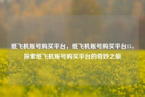 纸飞机账号购买平台，纸飞机账号购买平台15，探索纸飞机账号购买平台的奇妙之旅
