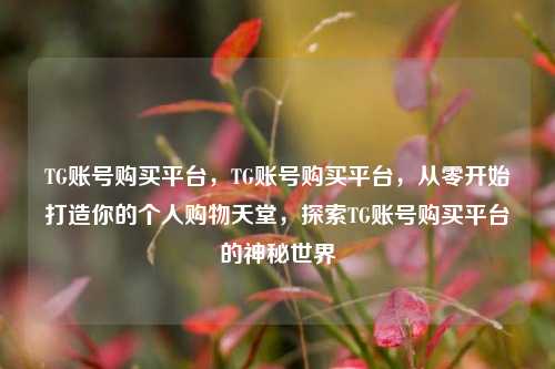 TG账号购买平台，TG账号购买平台，从零开始打造你的个人购物天堂，探索TG账号购买平台的神秘世界