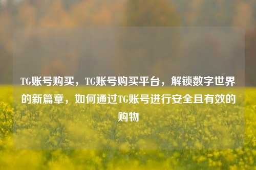 TG账号购买，TG账号购买平台，解锁数字世界的新篇章，如何通过TG账号进行安全且有效的购物
