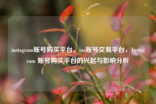 instagram账号购买平台，ins账号交易平台，Instagram 账号购买平台的兴起与影响分析