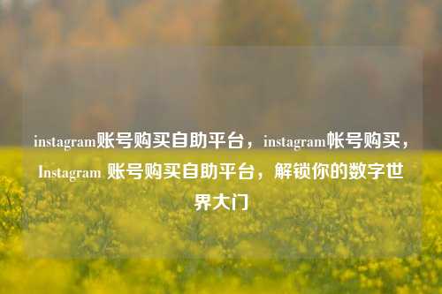 instagram账号购买自助平台，instagram帐号购买，Instagram 账号购买自助平台，解锁你的数字世界大门