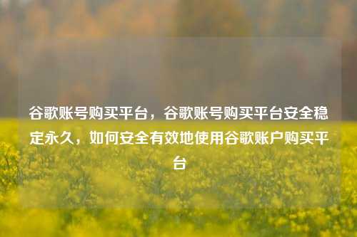 谷歌账号购买平台，谷歌账号购买平台安全稳定永久，如何安全有效地使用谷歌账户购买平台