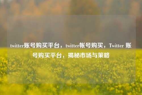 twitter账号购买平台，twitter帐号购买，Twitter 账号购买平台，揭秘市场与策略