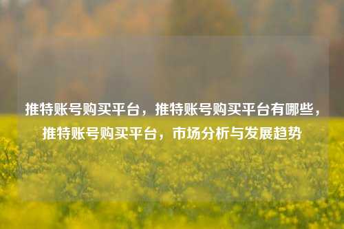 推特账号购买平台，推特账号购买平台有哪些，推特账号购买平台，市场分析与发展趋势