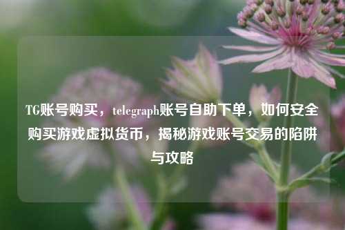 TG账号购买，telegraph账号自助下单，如何安全购买游戏虚拟货币，揭秘游戏账号交易的陷阱与攻略
