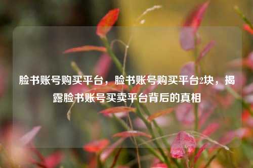 脸书账号购买平台，脸书账号购买平台2块，揭露脸书账号买卖平台背后的真相