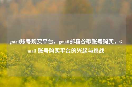gmail账号购买平台，gmail邮箱谷歌账号购买，Gmail 账号购买平台的兴起与挑战
