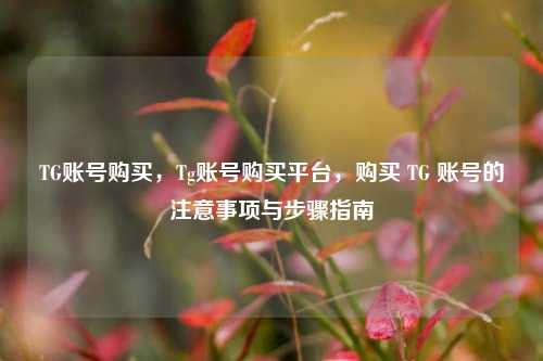 TG账号购买，Tg账号购买平台，购买 TG 账号的注意事项与步骤指南