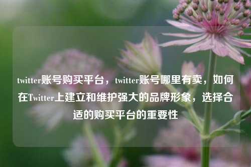 twitter账号购买平台，twitter账号哪里有卖，如何在Twitter上建立和维护强大的品牌形象，选择合适的购买平台的重要性