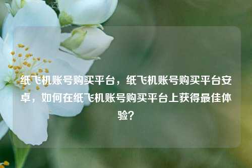 纸飞机账号购买平台，纸飞机账号购买平台安卓，如何在纸飞机账号购买平台上获得最佳体验？