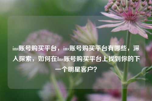 ins账号购买平台，ins账号购买平台有哪些，深入探索，如何在Ins账号购买平台上找到你的下一个明星客户？