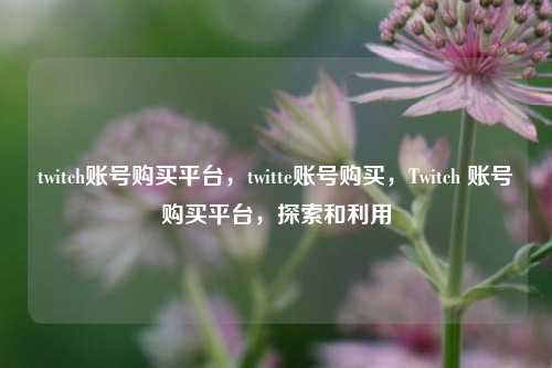 twitch账号购买平台，twitte账号购买，Twitch 账号购买平台，探索和利用