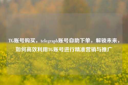 TG账号购买，telegraph账号自助下单，解锁未来，如何高效利用TG账号进行精准营销与推广