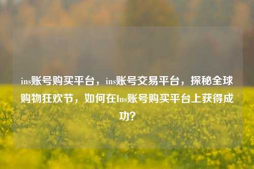ins账号购买平台，ins账号交易平台，探秘全球购物狂欢节，如何在Ins账号购买平台上获得成功？