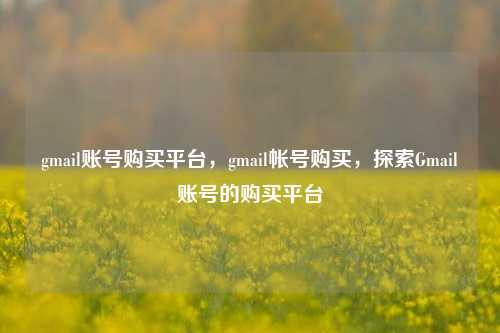 gmail账号购买平台，gmail帐号购买，探索Gmail账号的购买平台