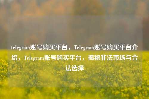 telegram账号购买平台，Telegram账号购买平台介绍，Telegram账号购买平台，揭秘非法市场与合法选择