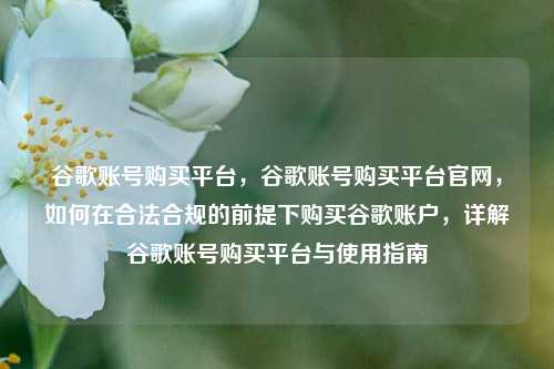 谷歌账号购买平台，谷歌账号购买平台官网，如何在合法合规的前提下购买谷歌账户，详解谷歌账号购买平台与使用指南
