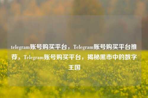 telegram账号购买平台，Telegram账号购买平台推荐，Telegram账号购买平台，揭秘黑市中的数字王国