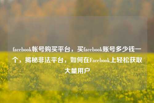 facebook帐号购买平台，买facebook账号多少钱一个，揭秘非法平台，如何在Facebook上轻松获取大量用户