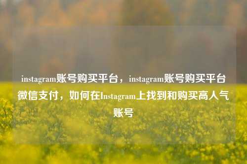 instagram账号购买平台	，instagram账号购买平台微信支付，如何在Instagram上找到和购买高人气账号  第1张