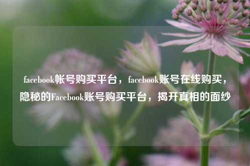 facebook帐号购买平台，facebook账号在线购买，隐秘的Facebook账号购买平台，揭开真相的面纱