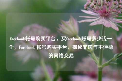 facebook帐号购买平台，买facebook账号多少钱一个，Facebook 帐号购买平台，揭秘非法与不道德的网络交易