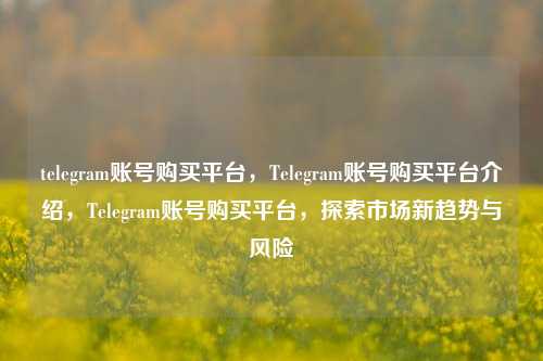 telegram账号购买平台，Telegram账号购买平台介绍，Telegram账号购买平台，探索市场新趋势与风险