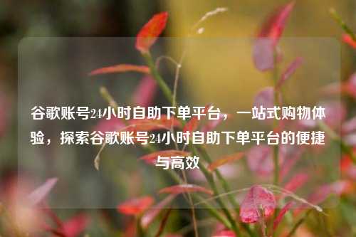 谷歌账号24小时自助下单平台，一站式购物体验，探索谷歌账号24小时自助下单平台的便捷与高效