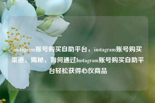 instagram账号购买自助平台，instagram账号购买渠道，揭秘，如何通过Instagram账号购买自助平台轻松获得心仪商品