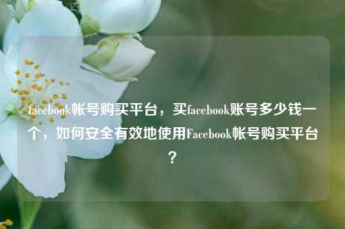 facebook帐号购买平台，买facebook账号多少钱一个，如何安全有效地使用Facebook帐号购买平台？