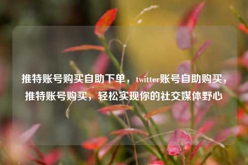 推特账号购买自助下单，twitter账号自助购买，推特账号购买，轻松实现你的社交媒体野心