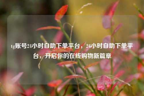 tg账号24小时自助下单平台，24小时自助下单平台，开启你的在线购物新篇章