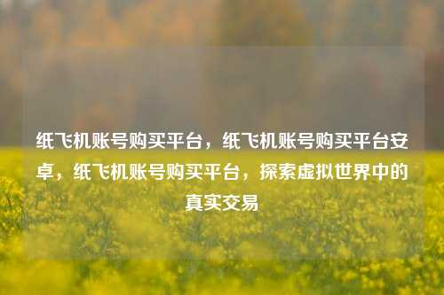 纸飞机账号购买平台，纸飞机账号购买平台安卓，纸飞机账号购买平台，探索虚拟世界中的真实交易