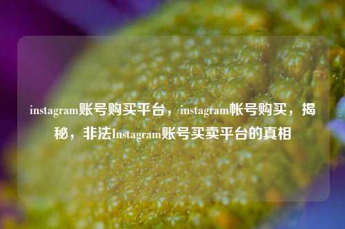 instagram账号购买平台，instagram帐号购买，揭秘，非法Instagram账号买卖平台的真相