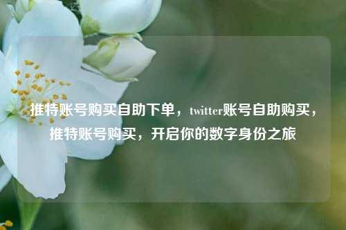 推特账号购买自助下单，twitter账号自助购买，推特账号购买，开启你的数字身份之旅