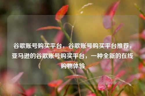 谷歌账号购买平台，谷歌账号购买平台推荐，亚马逊的谷歌账号购买平台，一种全新的在线购物体验