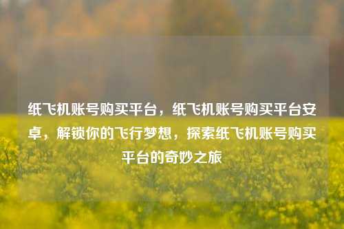 纸飞机账号购买平台，纸飞机账号购买平台安卓，解锁你的飞行梦想，探索纸飞机账号购买平台的奇妙之旅