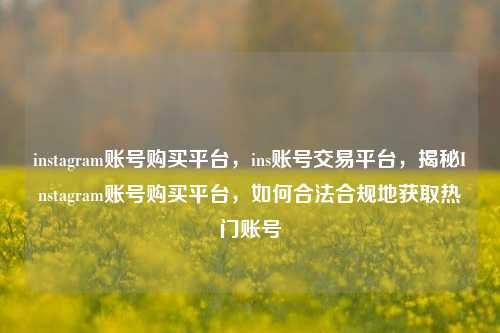 instagram账号购买平台，ins账号交易平台	，揭秘Instagram账号购买平台，如何合法合规地获取热门账号  第1张