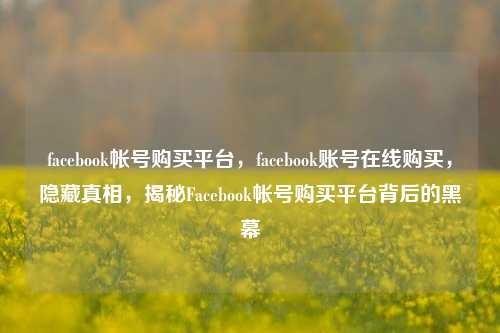 facebook帐号购买平台，facebook账号在线购买，隐藏真相，揭秘Facebook帐号购买平台背后的黑幕