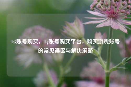 TG账号购买，Tg账号购买平台，购买游戏账号的常见误区与解决策略